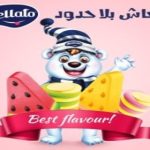 الميتاني للمفروشات: وجهتك المثالية بين شركات الأثاث بالتقسيط في الأردن